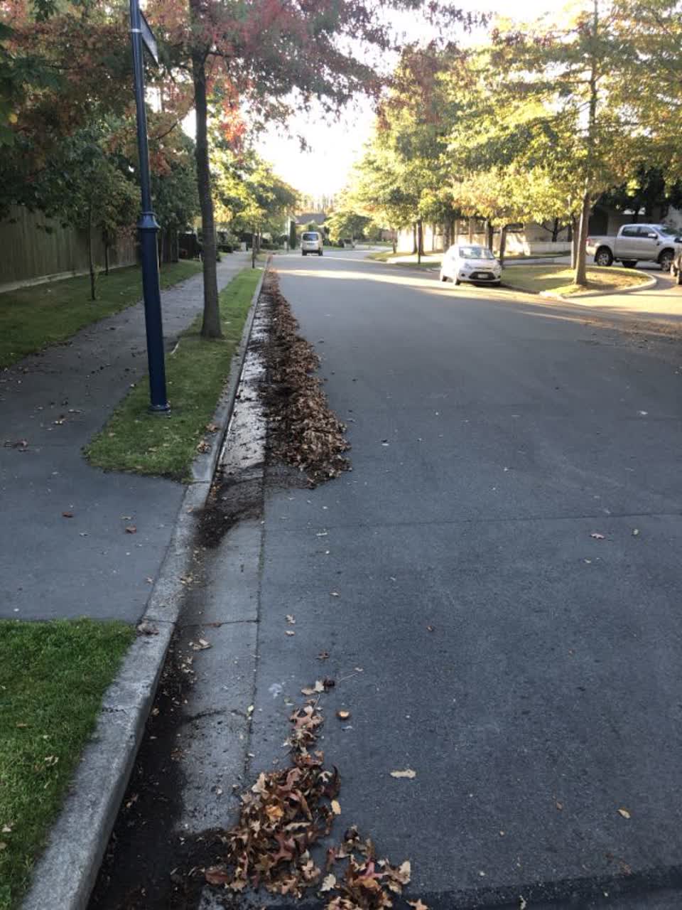 The photograph attached to this roading/streets report