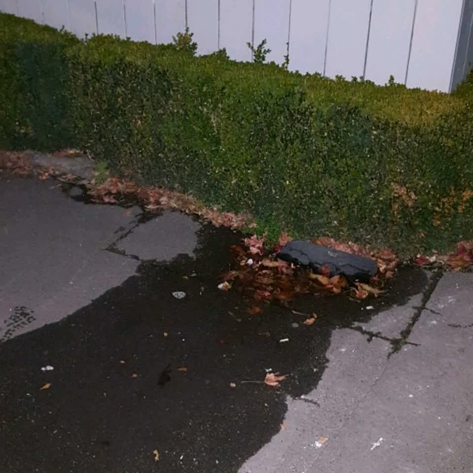 The photograph attached to this water supply report