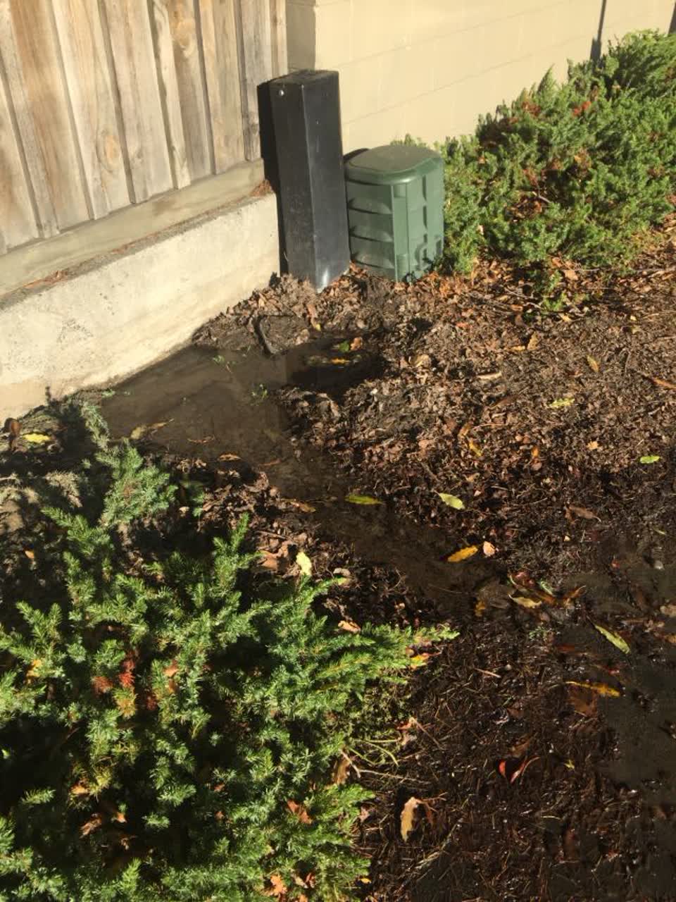 The photograph attached to this water supply report