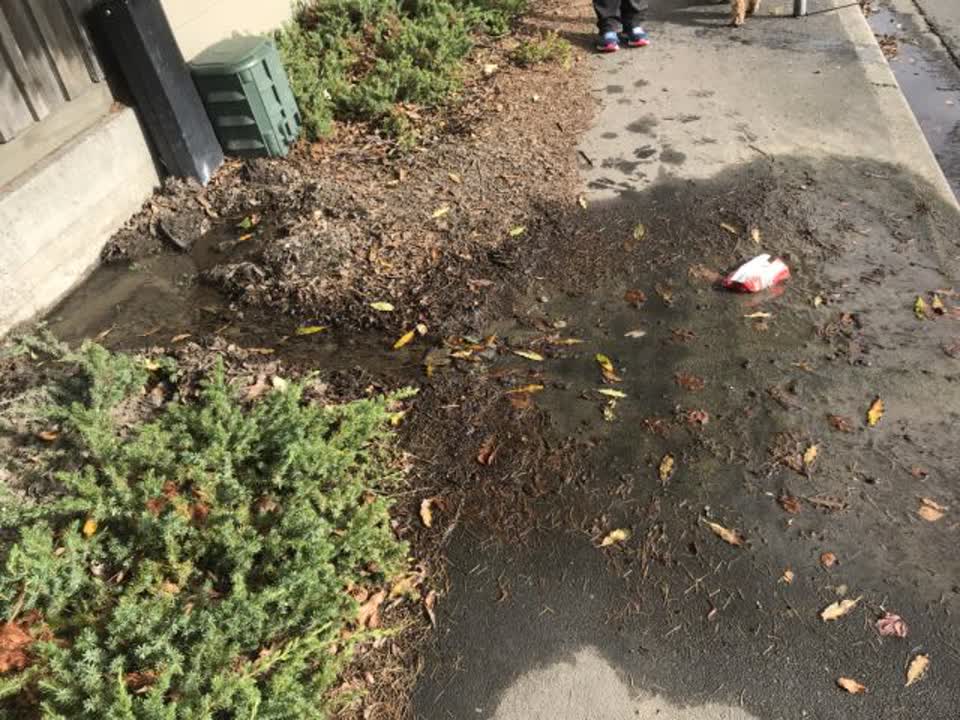 The photograph attached to this water supply report