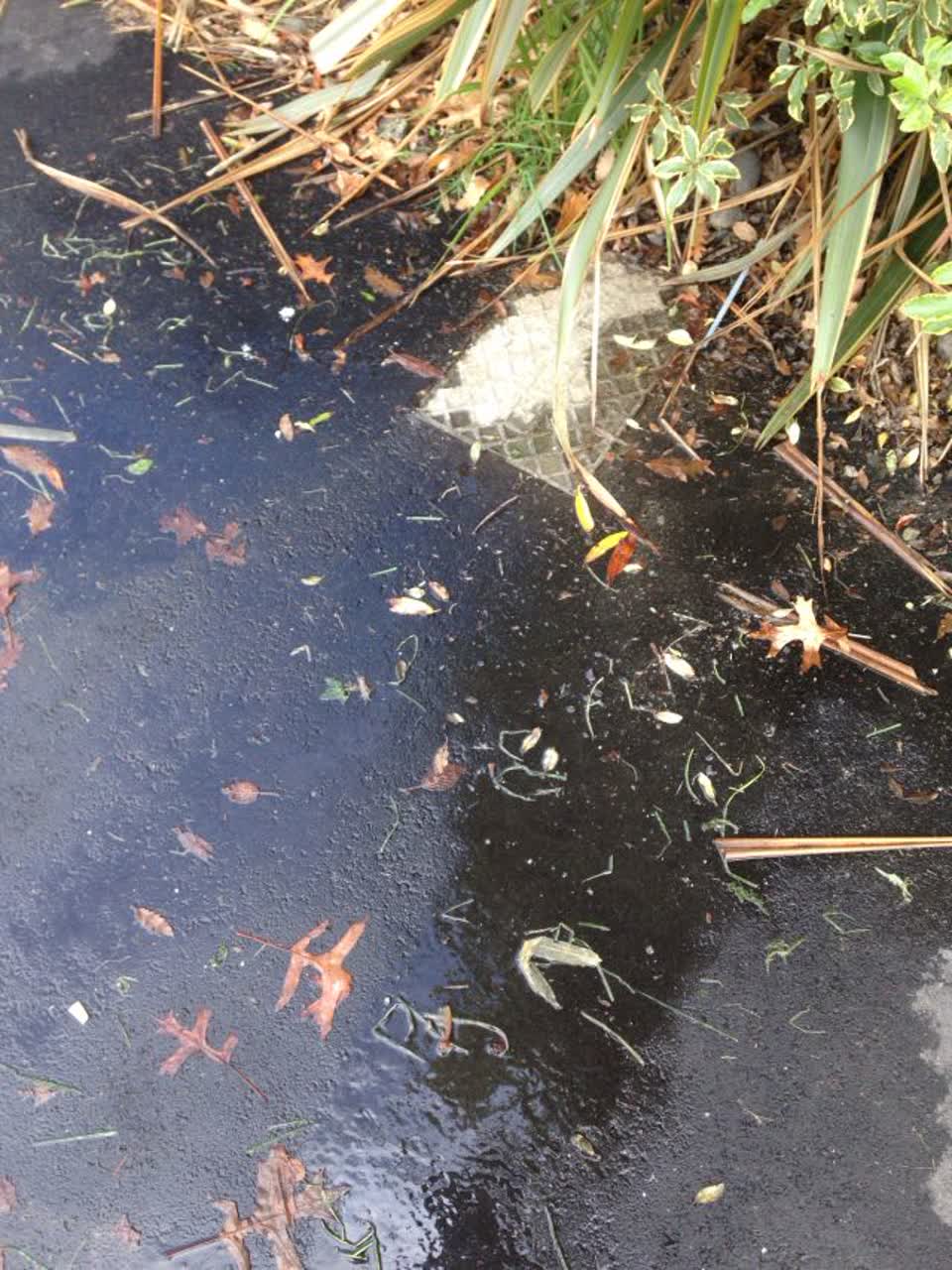 The photograph attached to this wastewater/stormwater report