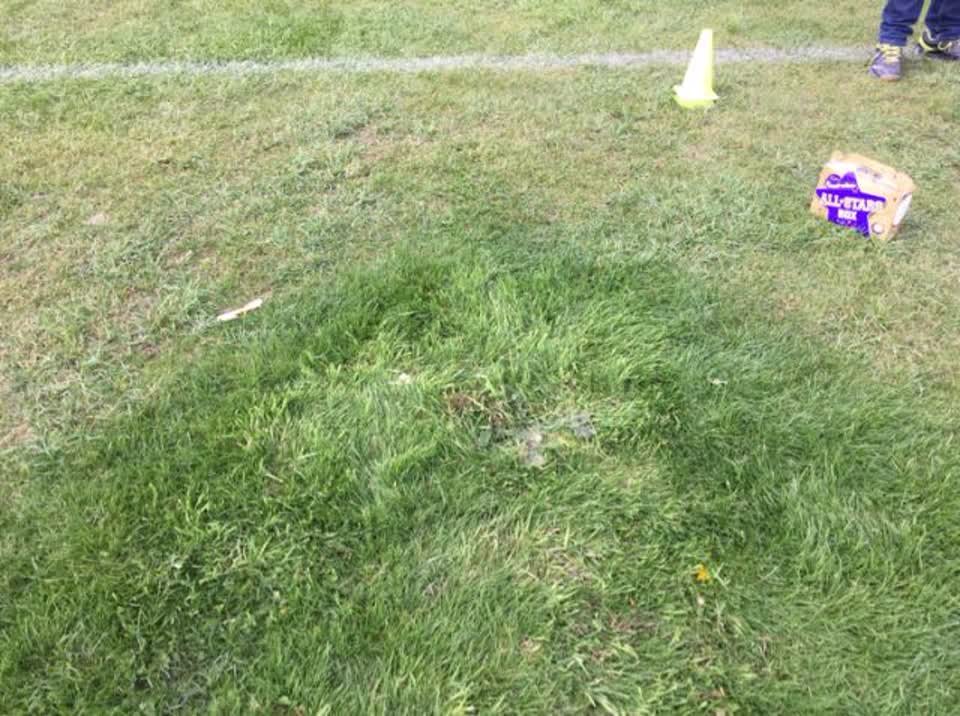 The photograph attached to this parks report