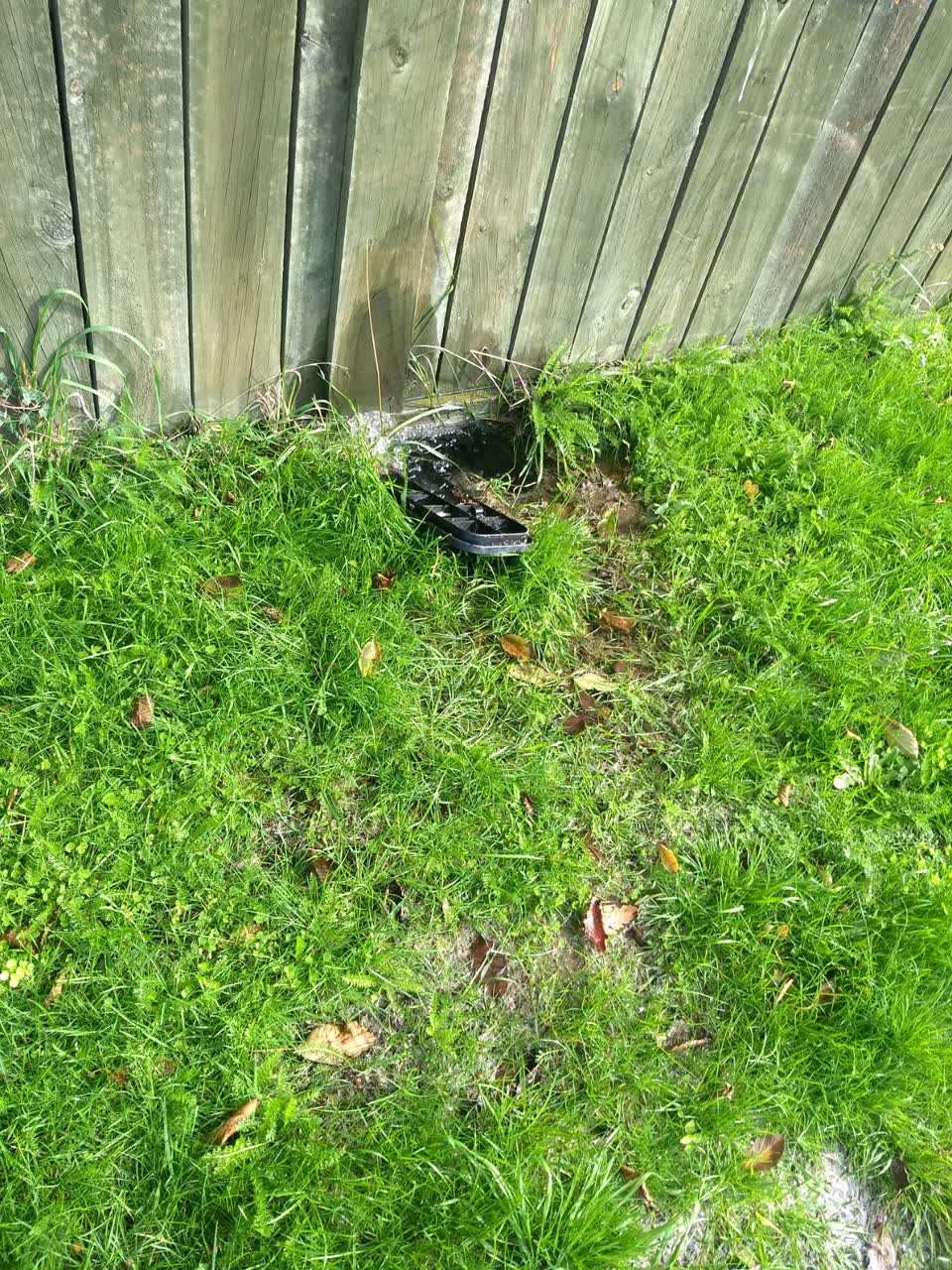 The photograph attached to this water supply report