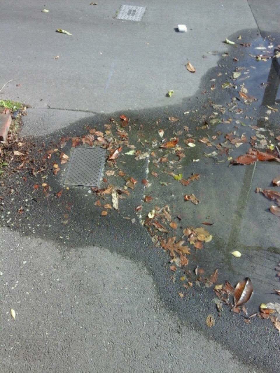 The photograph attached to this water supply report