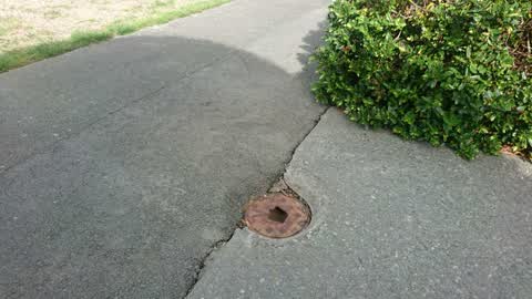 Roading/Streets, a report photo