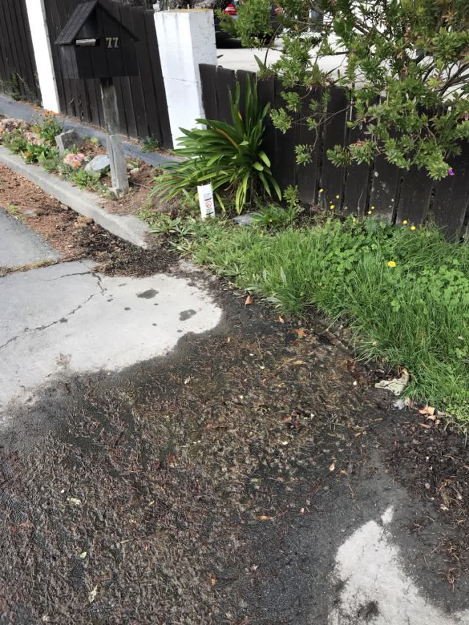 The photograph attached to this wastewater/stormwater report