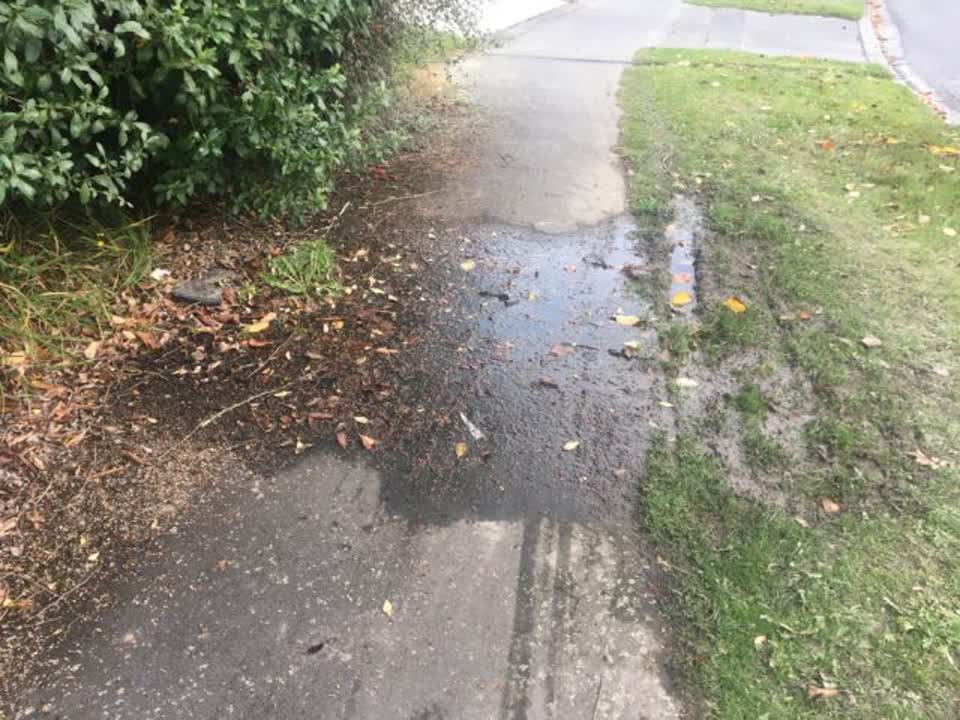 The photograph attached to this water supply report