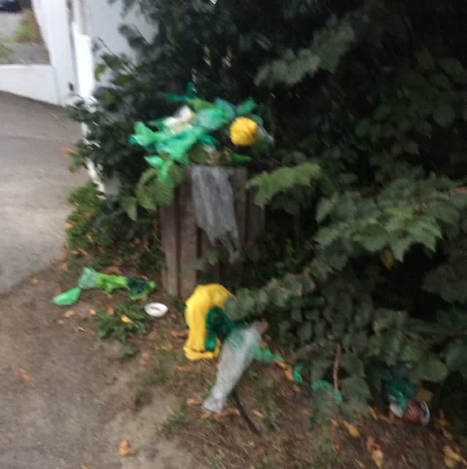 The photograph attached to this rubbish/recycling report