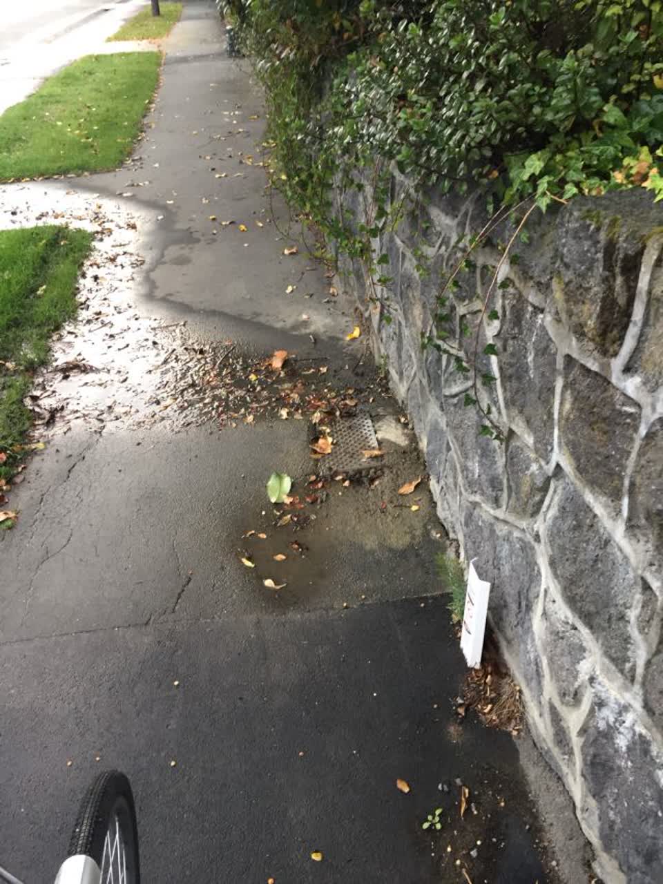The photograph attached to this water supply report
