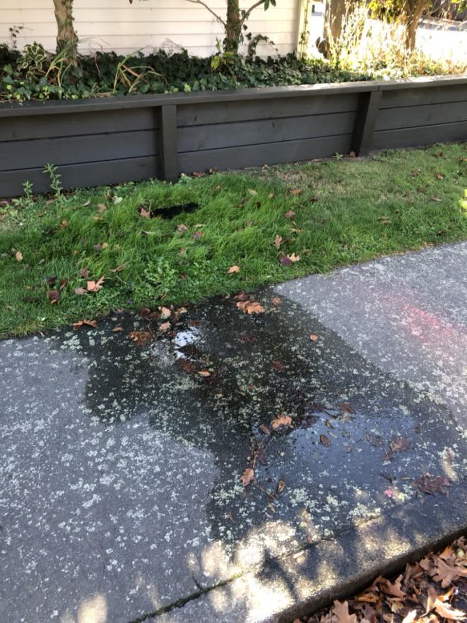 The photograph attached to this water supply report