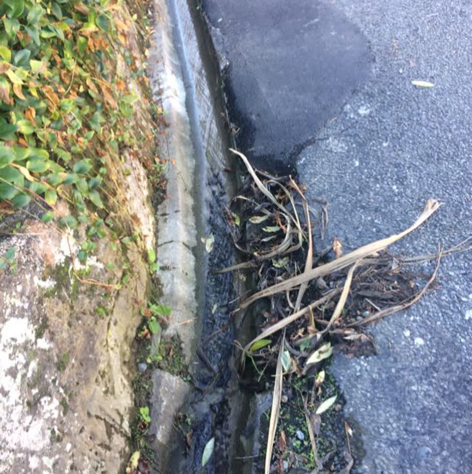 The photograph attached to this water supply report