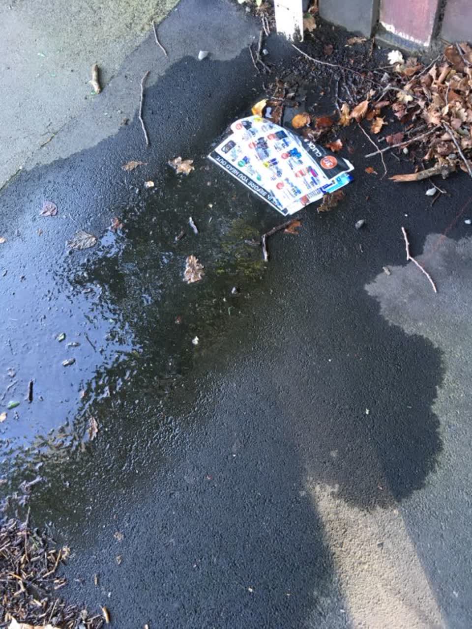 The photograph attached to this roading/streets report