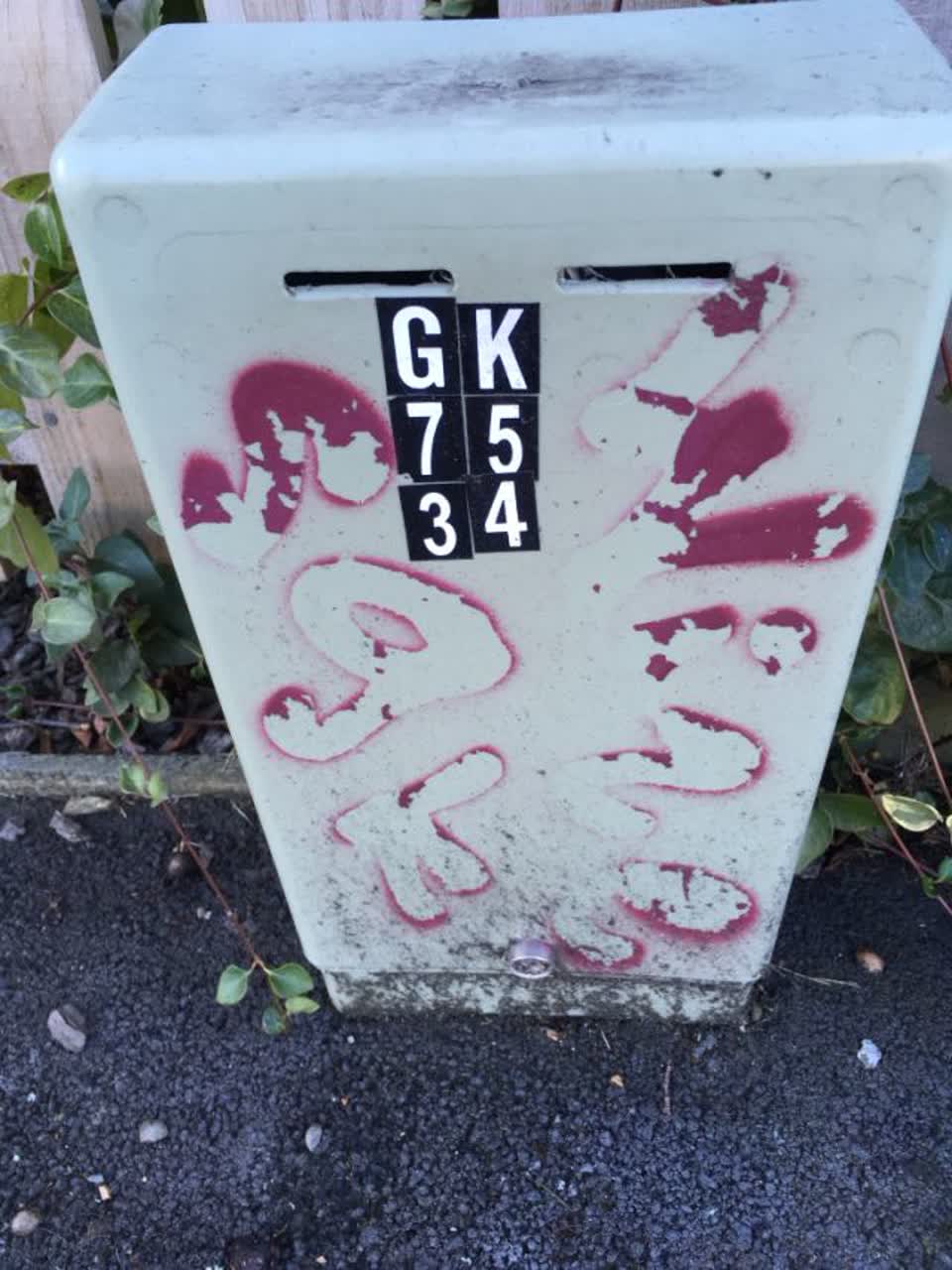 The photograph attached to this graffiti report