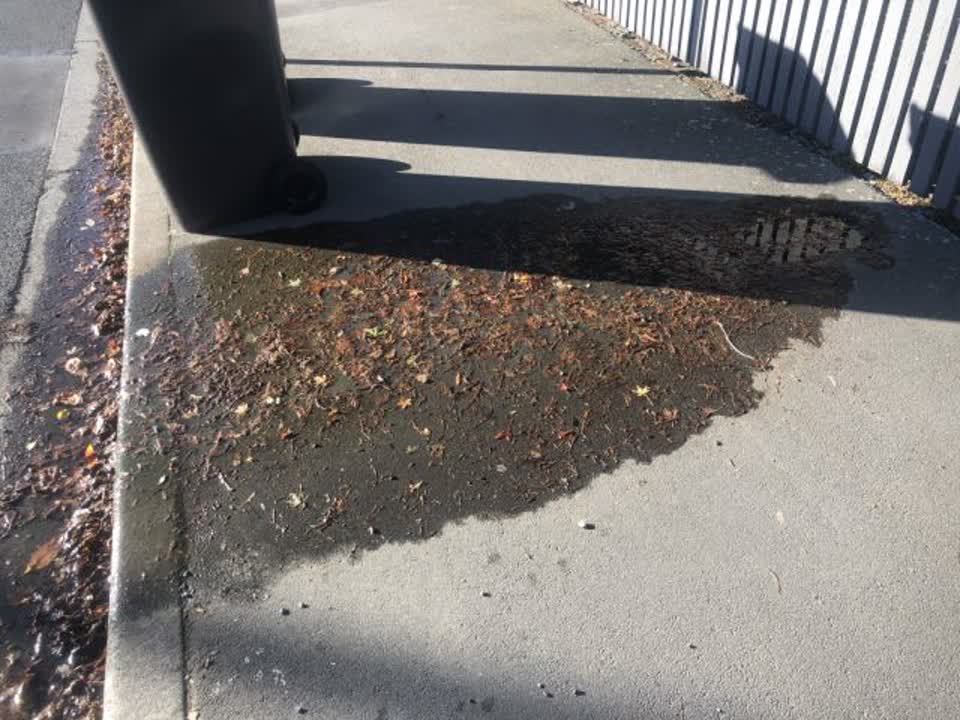 The photograph attached to this water supply report