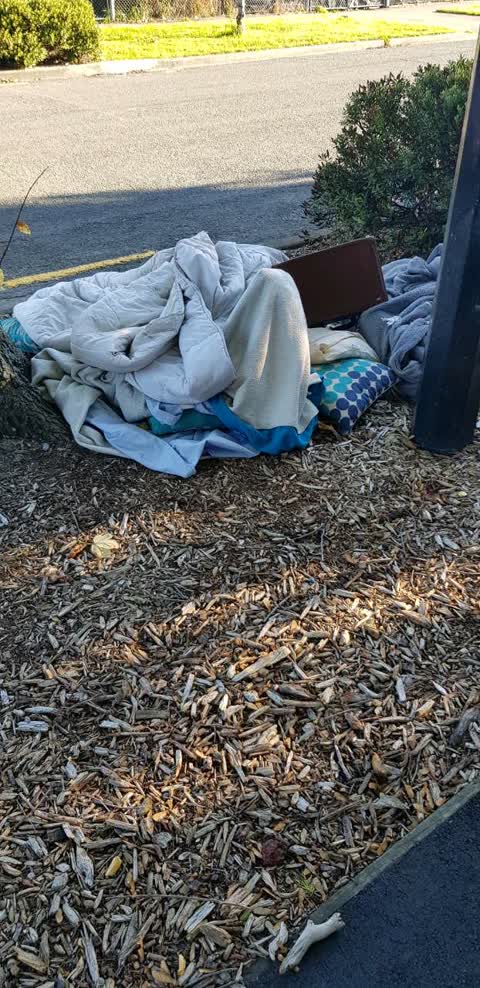 Rubbish/Recycling, a report photo