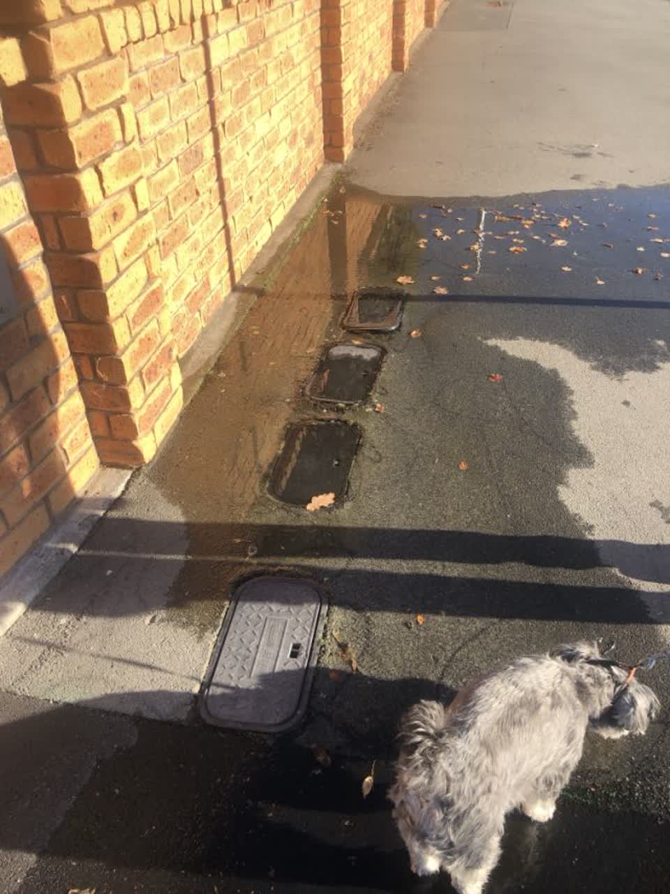 The photograph attached to this water supply report