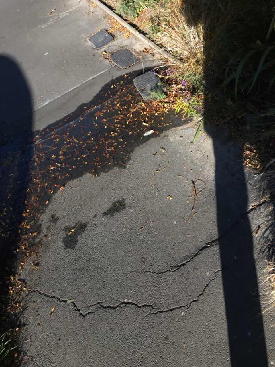 The photograph attached to this roading/streets report
