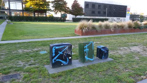 Graffiti, a report photo