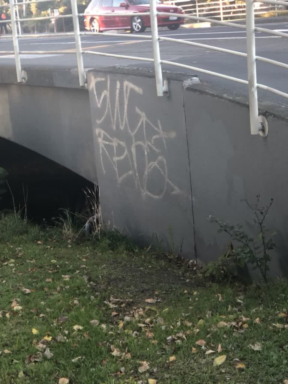 The photograph attached to this graffiti report