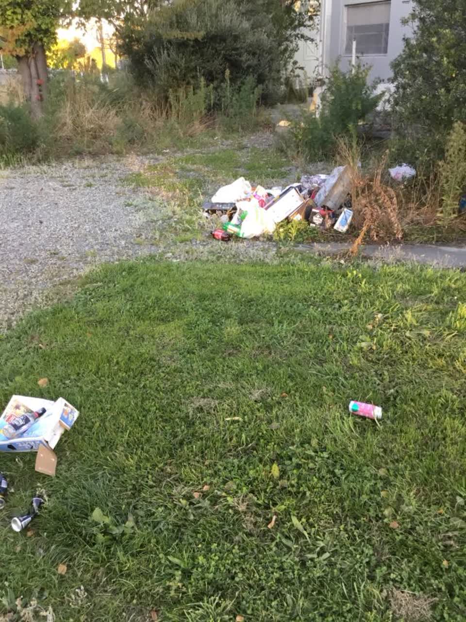 The photograph attached to this rubbish/recycling report