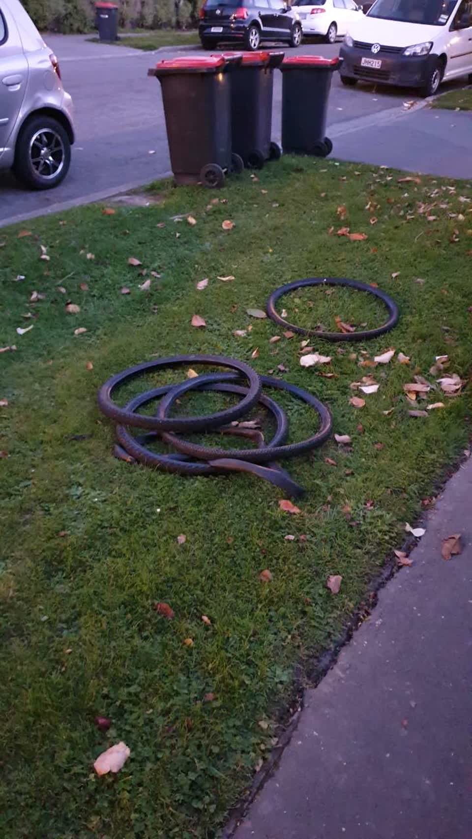 The photograph attached to this rubbish/recycling report