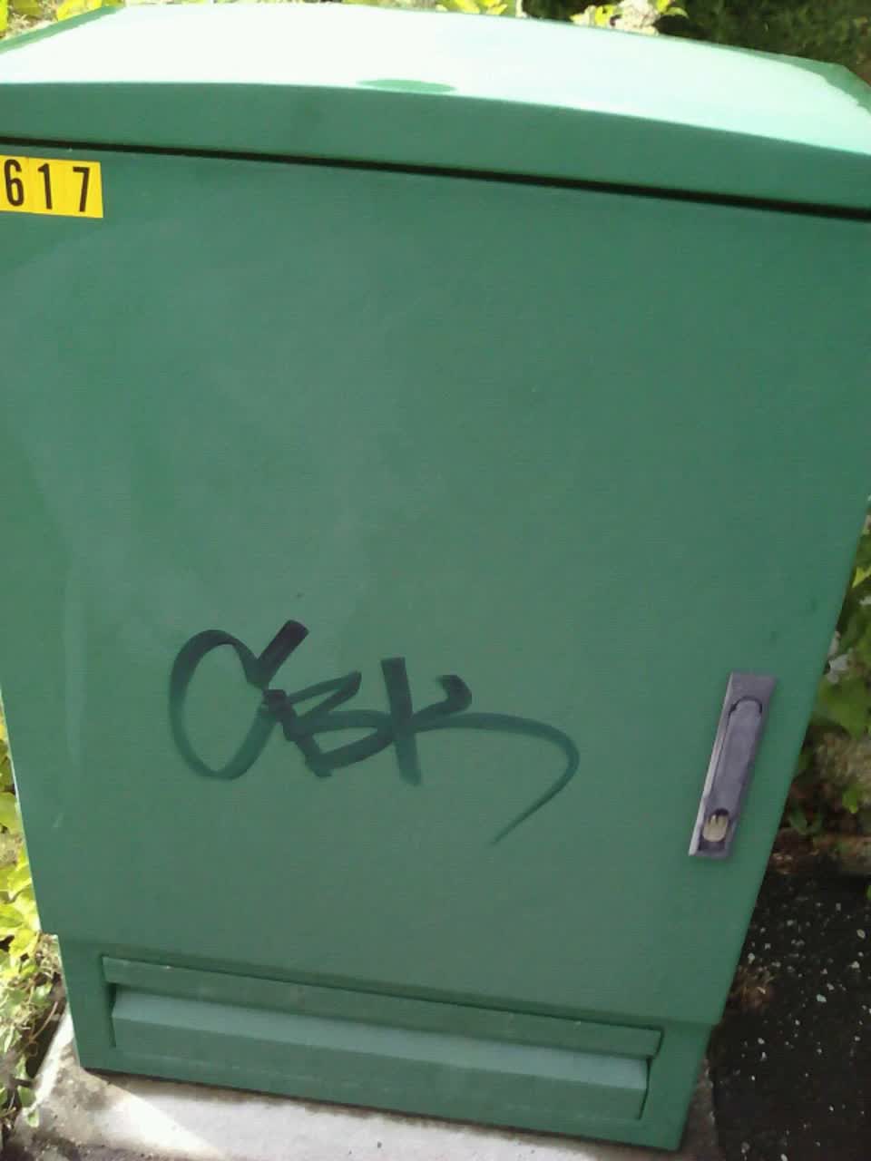 The photograph attached to this graffiti report