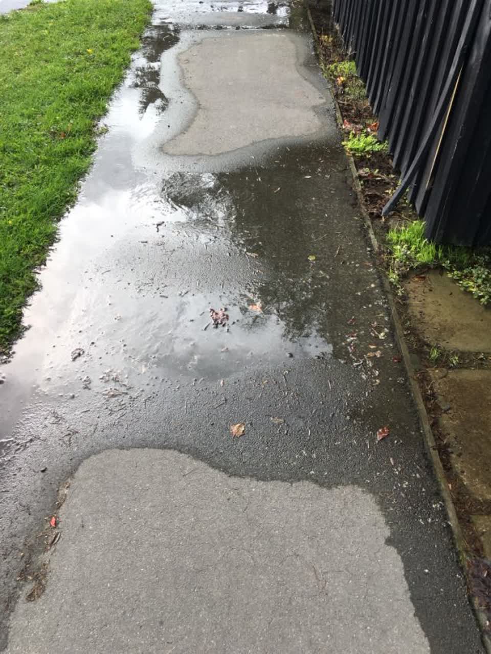 The photograph attached to this roading/streets report