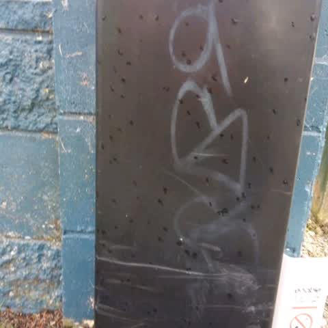 Graffiti — a report photo