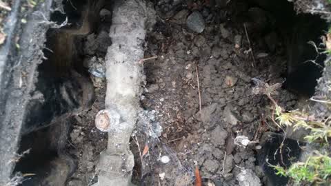 Water Supply, a report photo