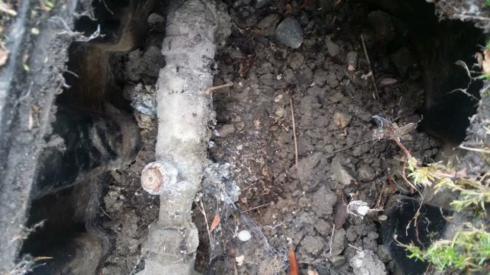 The photograph attached to this water supply report