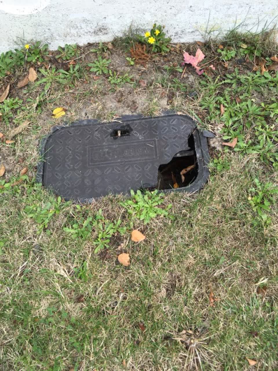 The photograph attached to this roading/streets report