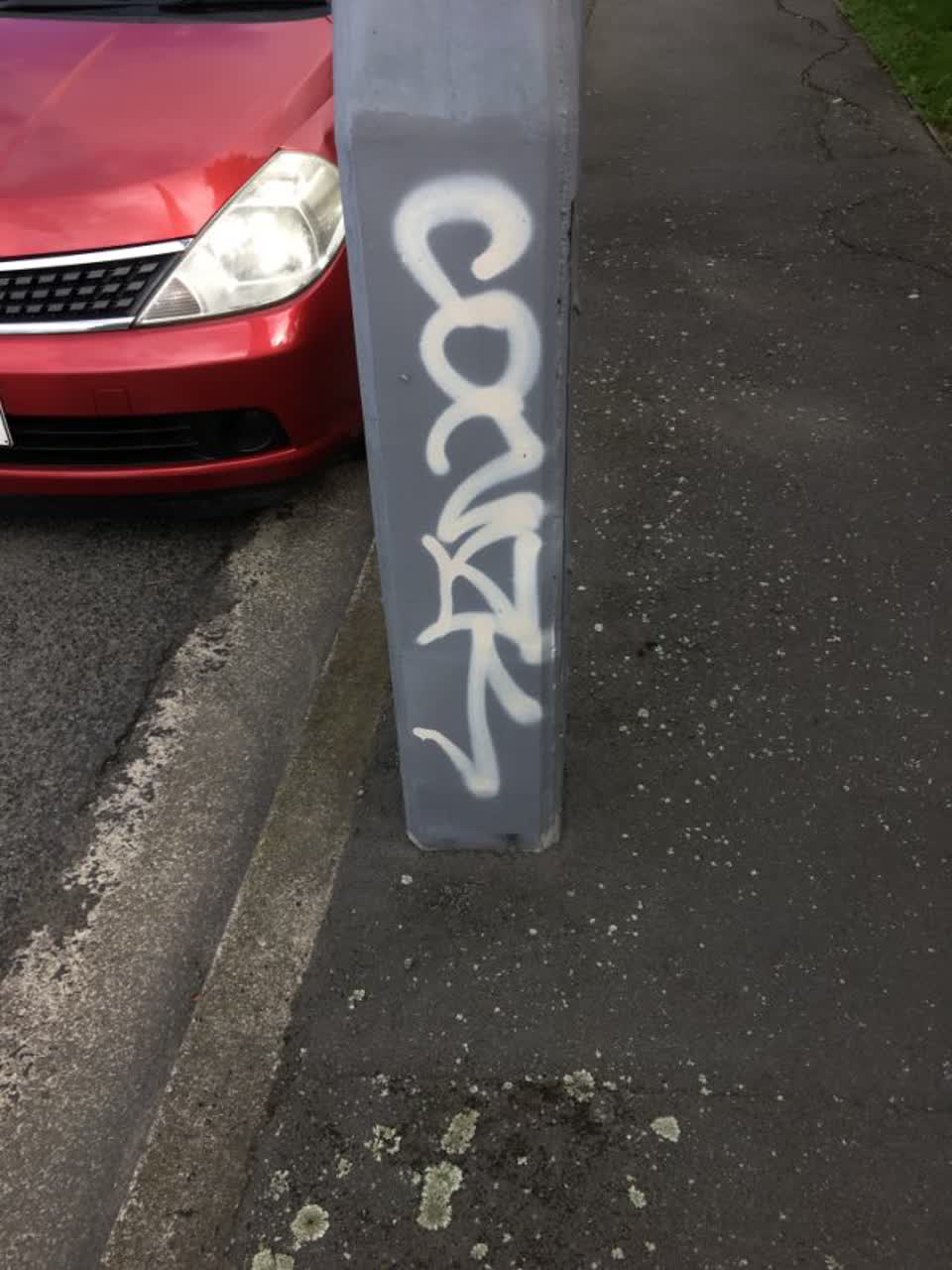 The photograph attached to this graffiti report