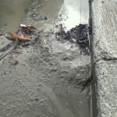 Wastewater/Stormwater, a report photo