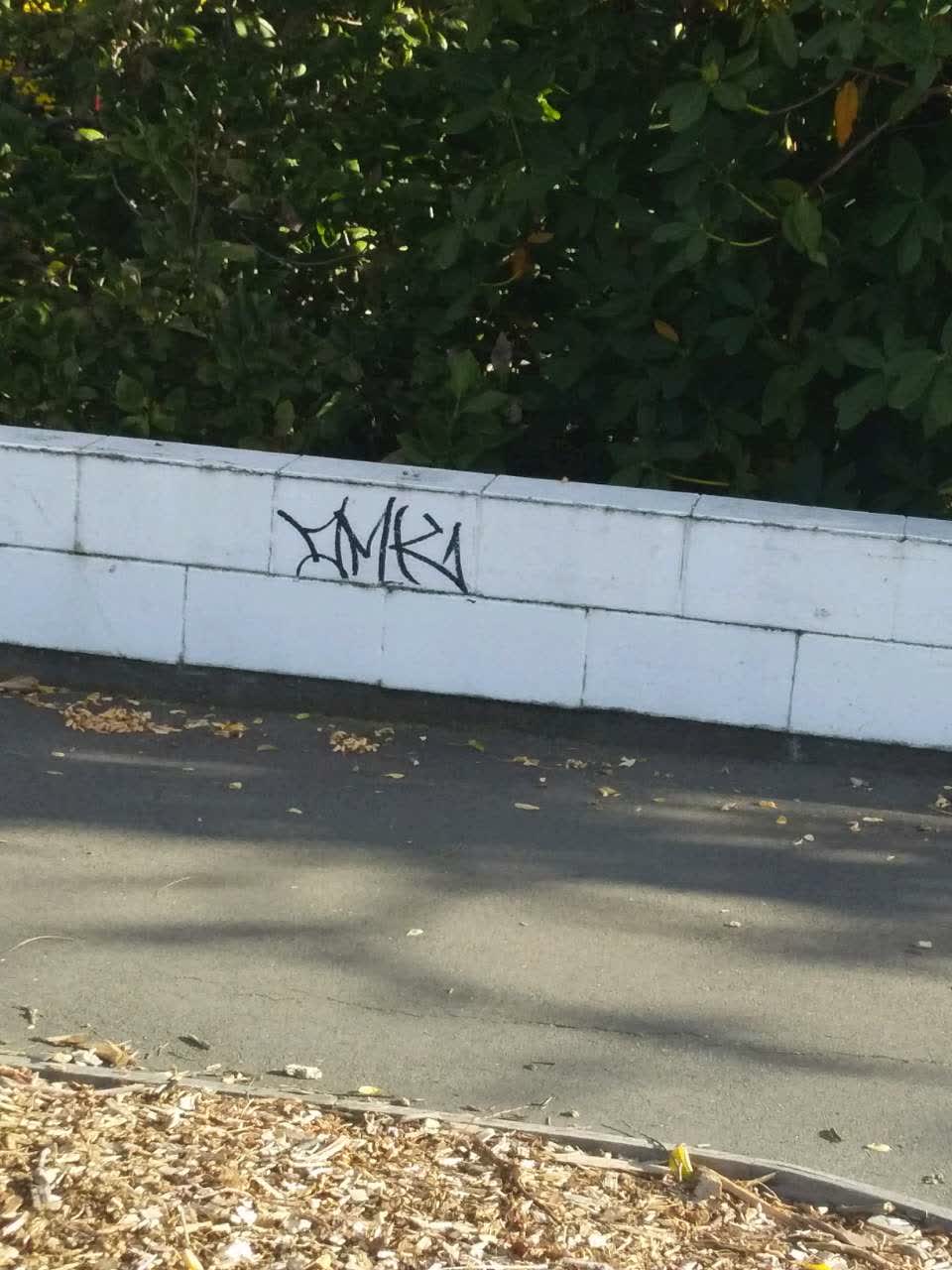 The photograph attached to this graffiti report