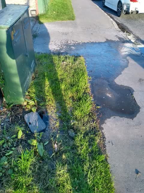 Water Supply, a report photo