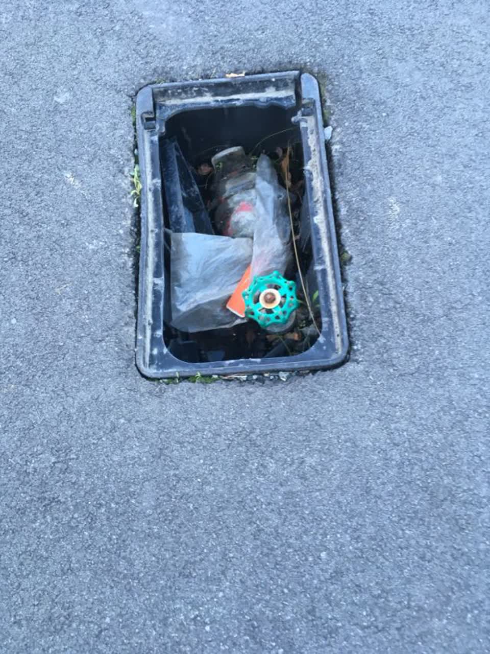 The photograph attached to this roading/streets report