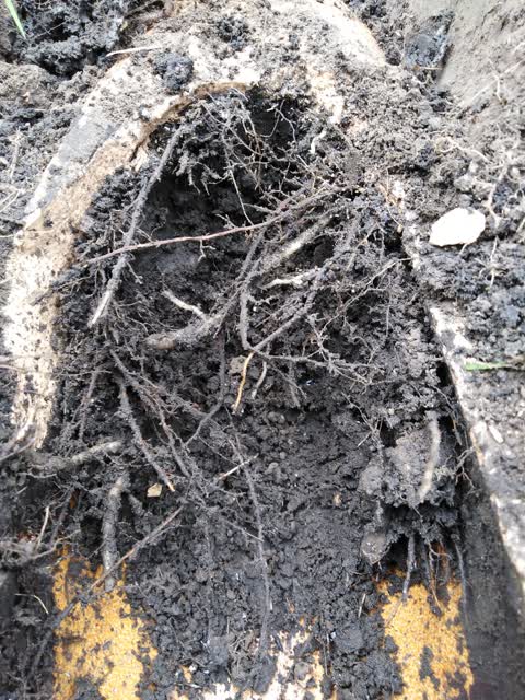 Wastewater/Stormwater, a report photo