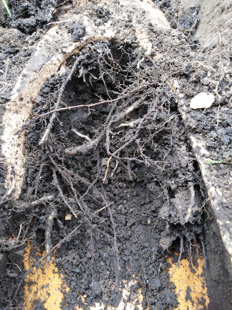 The photograph attached to this wastewater/stormwater report