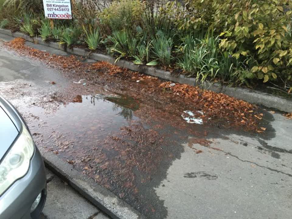 The photograph attached to this flooding report