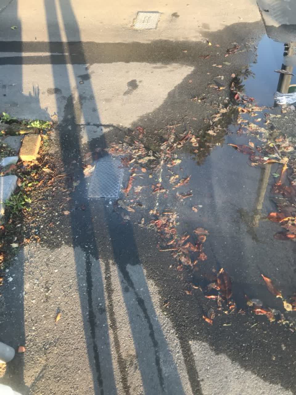 The photograph attached to this water supply report