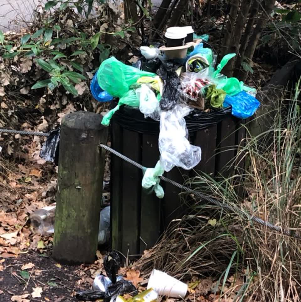 The photograph attached to this rubbish/recycling report