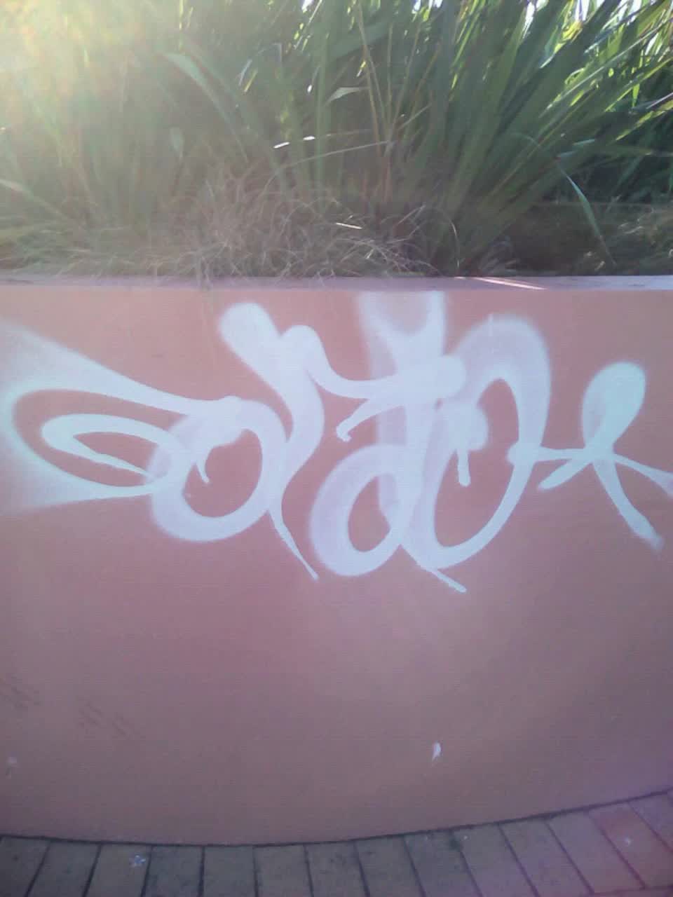 The photograph attached to this graffiti report