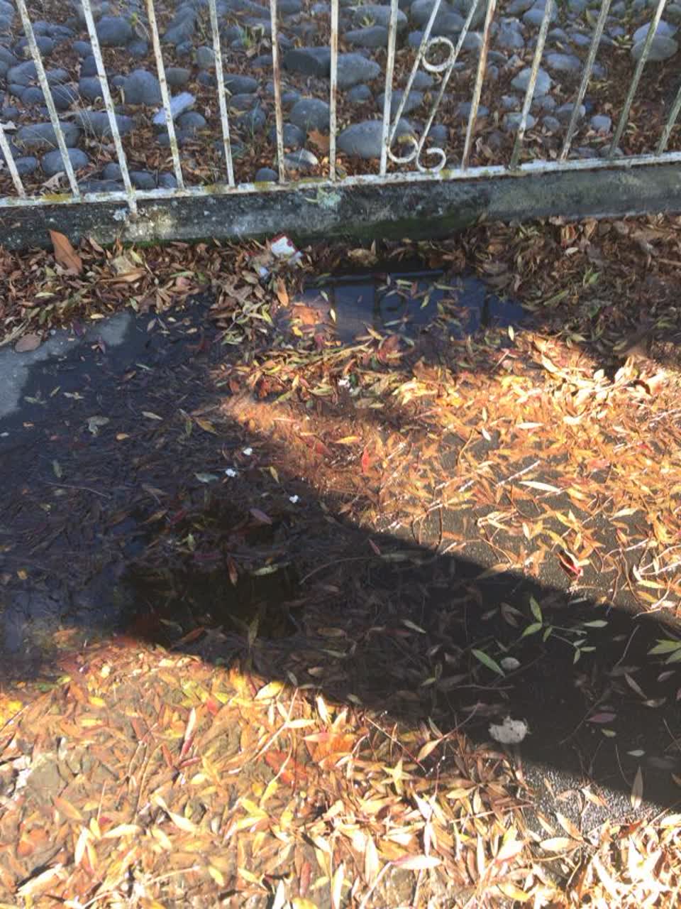 The photograph attached to this water supply report