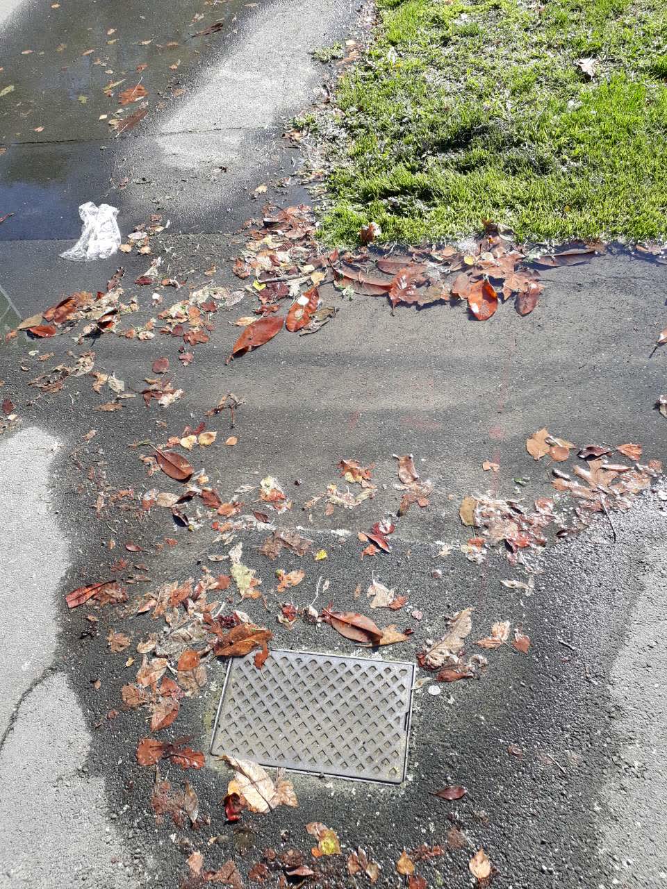 The photograph attached to this wastewater/stormwater report