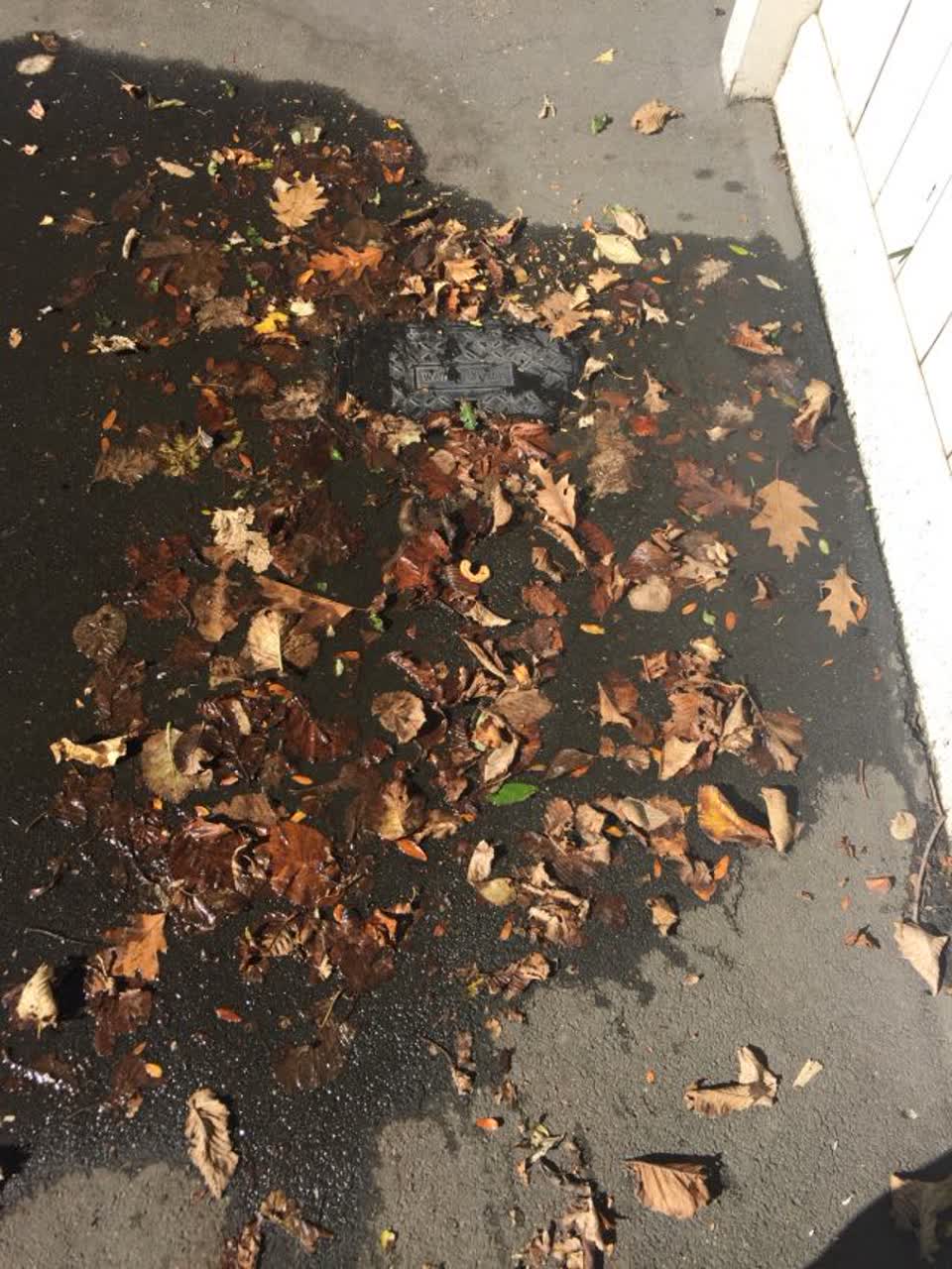 The photograph attached to this water supply report