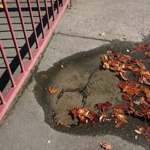 Wastewater/Stormwater, a report photo