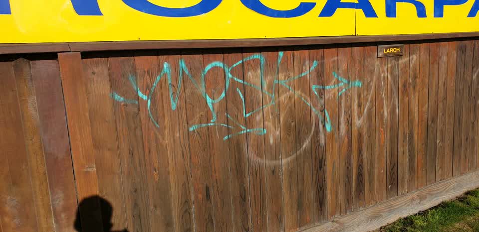 The photograph attached to this graffiti report