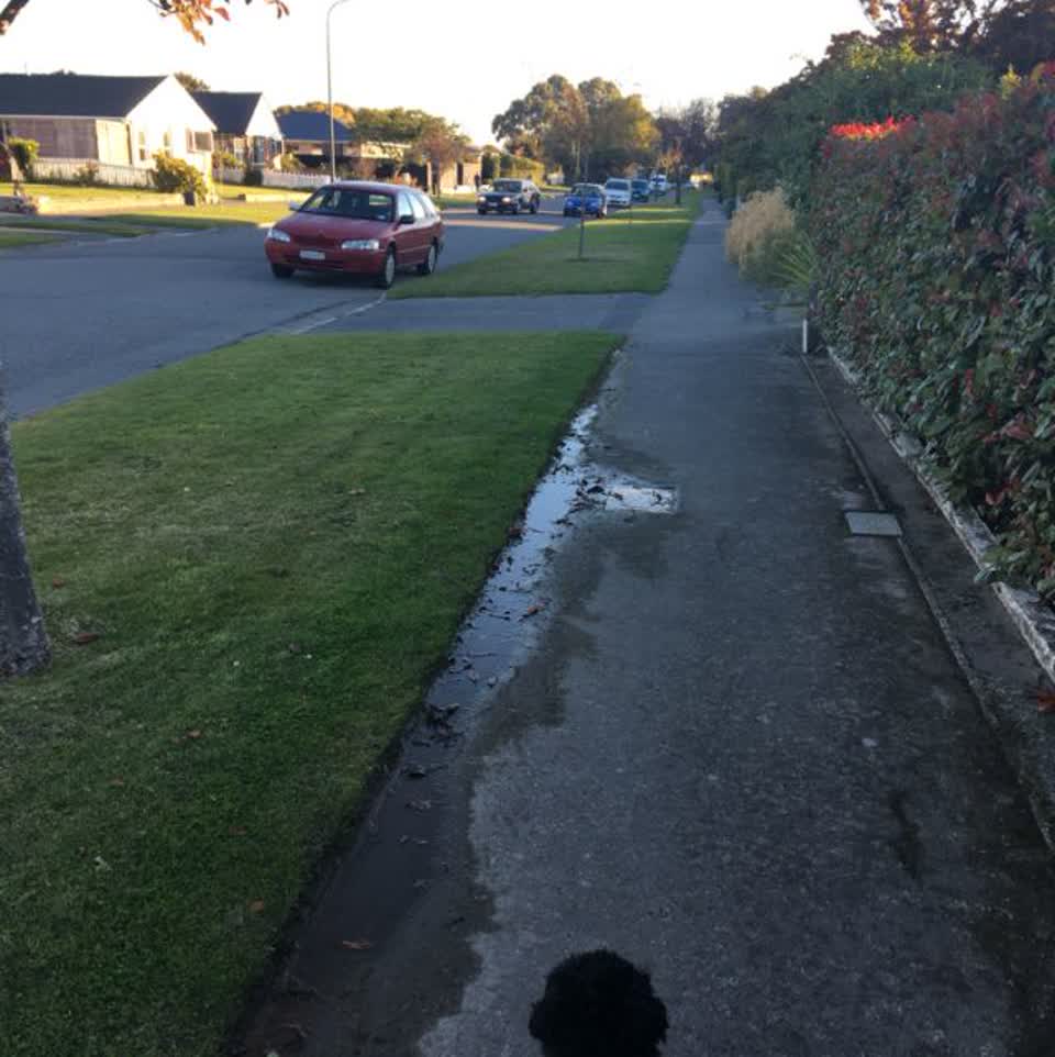 The photograph attached to this water supply report