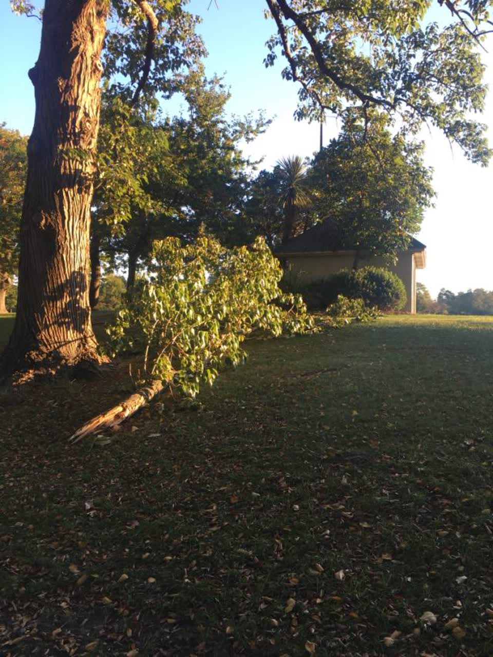 The photograph attached to this parks report