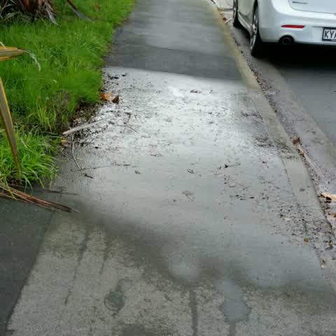 Roading/Streets, a report photo